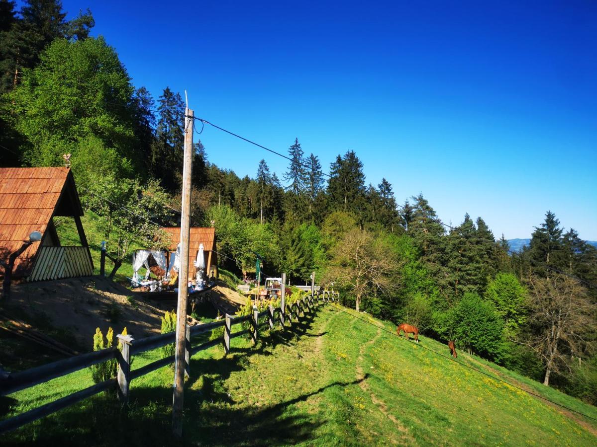 Glamping Mm Hotel Muta Buitenkant foto